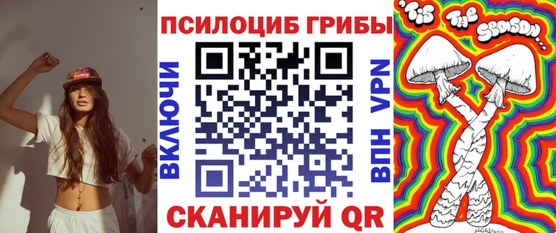 блэк спрут как зайти  Порхов  Галлюциногенные грибы Cubensis 